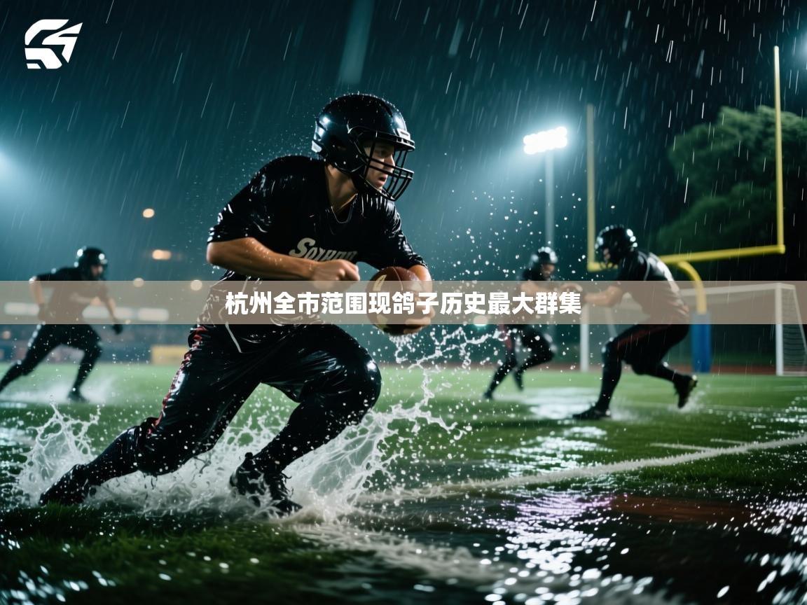 杭州全市范围现鸽子历史最大群集 第1张