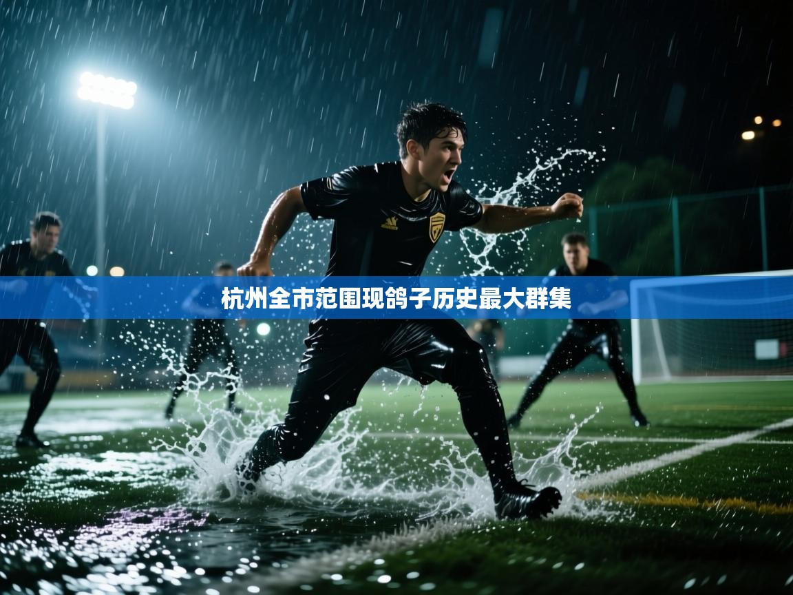 杭州全市范围现鸽子历史最大群集 第2张