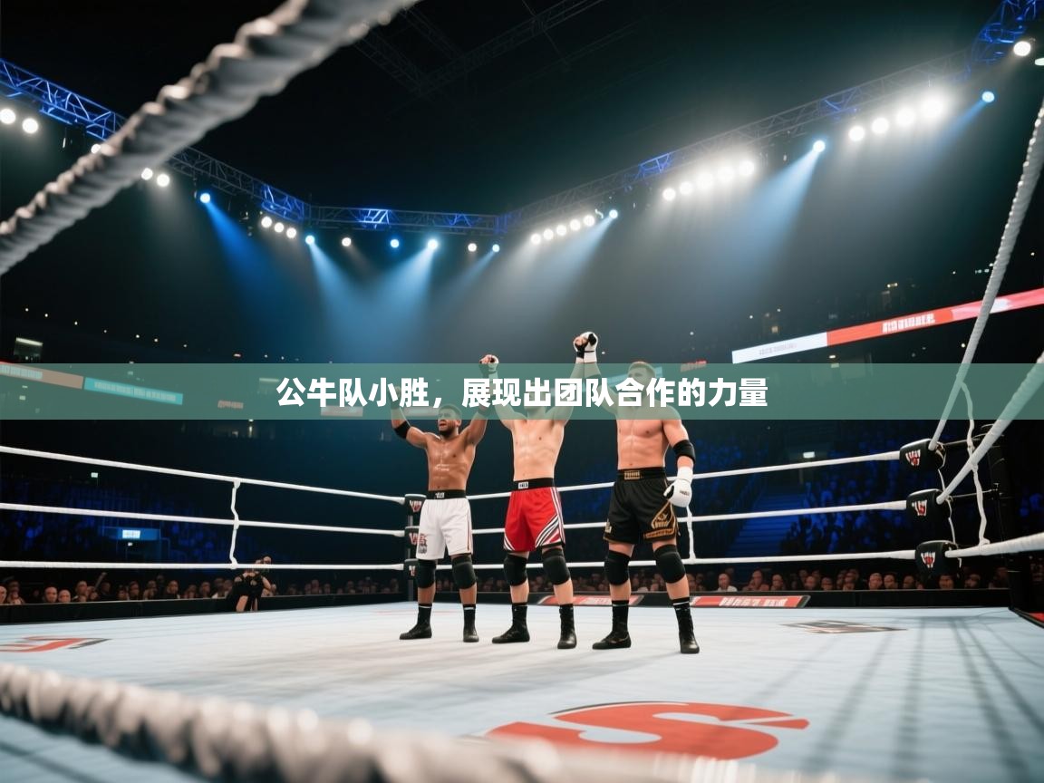 公牛队小胜,展现出团队合作的力量 第2张