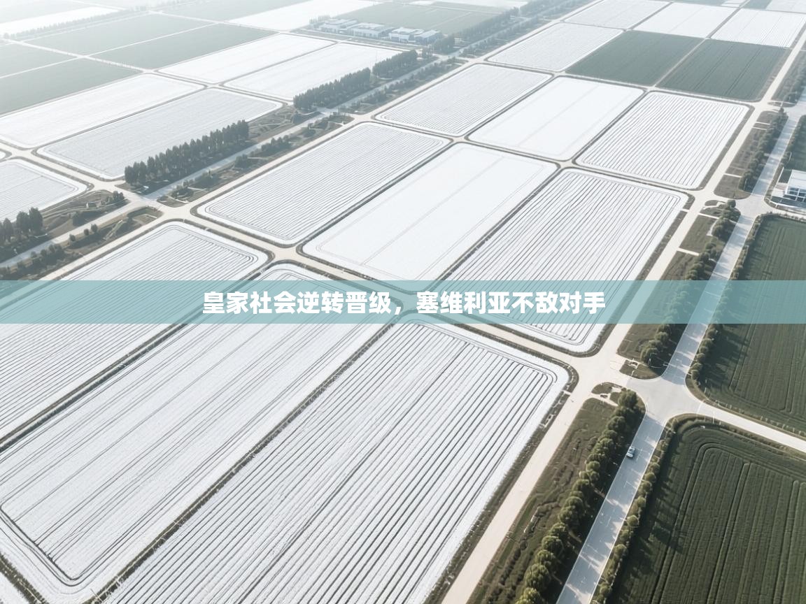 皇家社会逆转晋级，塞维利亚不敌对手  第1张