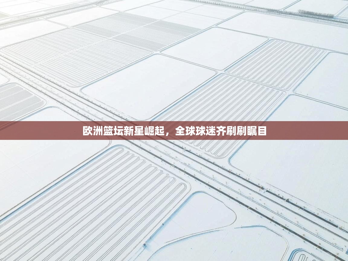 欧洲篮坛新星崛起，全球球迷齐刷刷瞩目  第1张