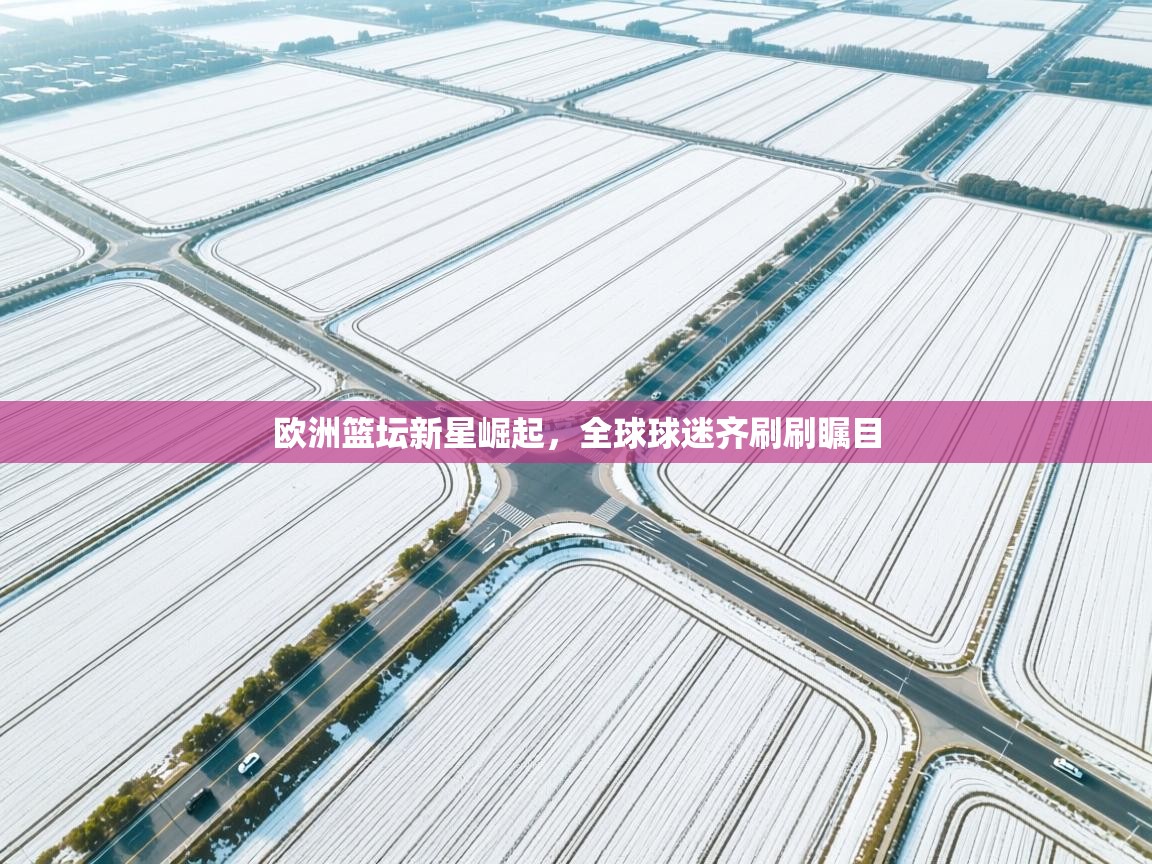 欧洲篮坛新星崛起，全球球迷齐刷刷瞩目  第2张