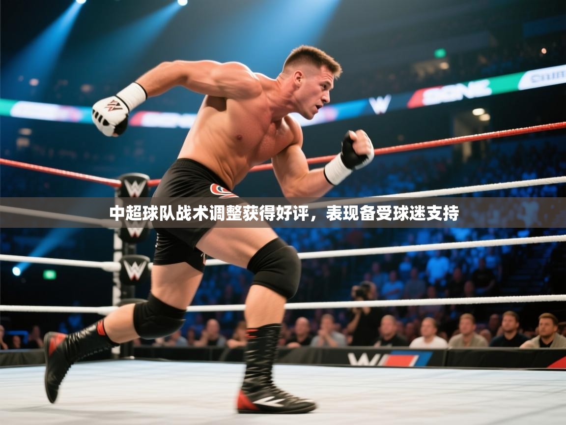 中超球队战术调整获得好评，表现备受球迷支持  第1张