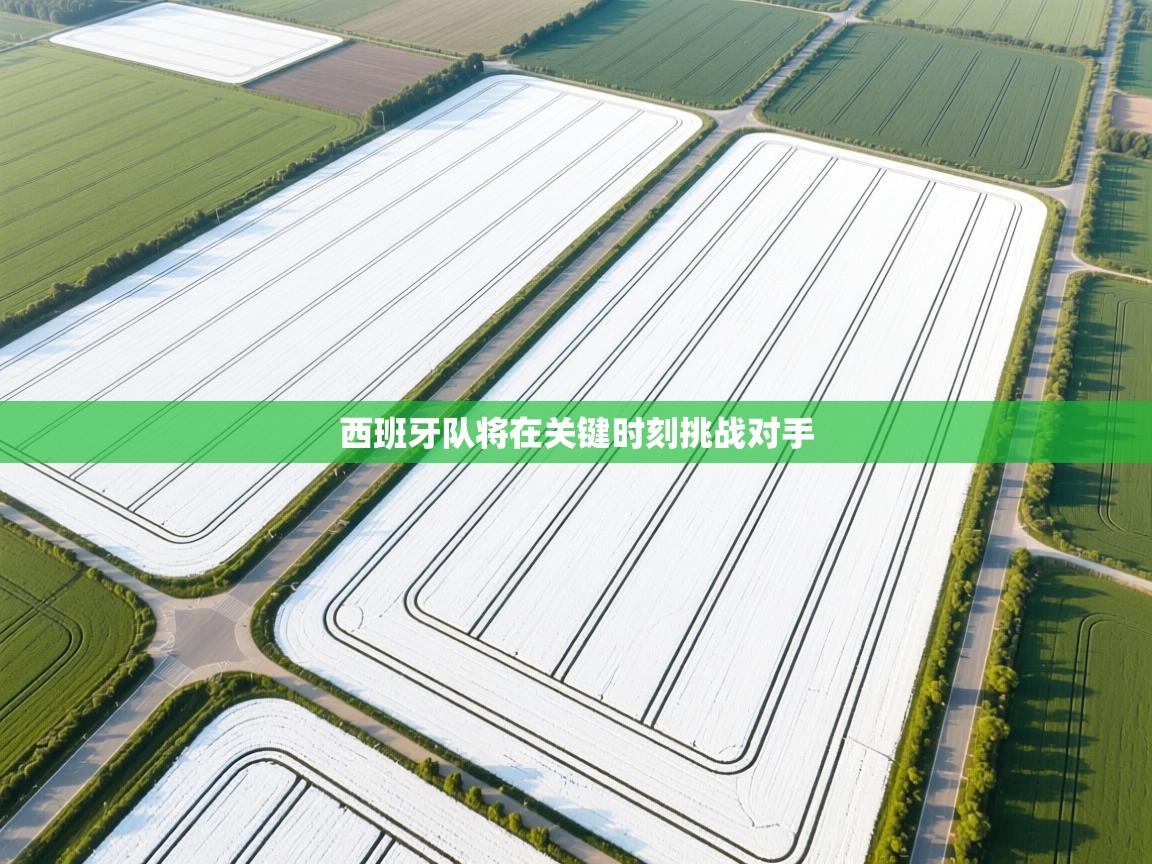 西班牙队将在关键时刻挑战对手  第2张