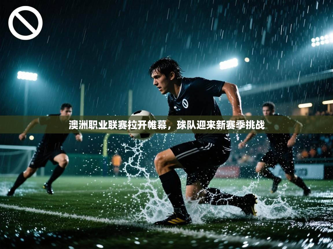 澳洲职业联赛拉开帷幕，球队迎来新赛季挑战  第2张